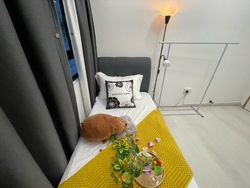 Textile Centre (D7), Apartment #509452991